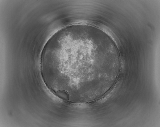 X0000111171090200907081209