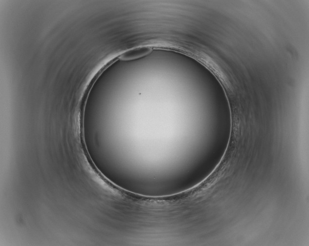 X0000111171092200907081209