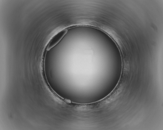 X0000111171093200907081209