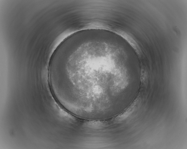 X0000111171094200907081209