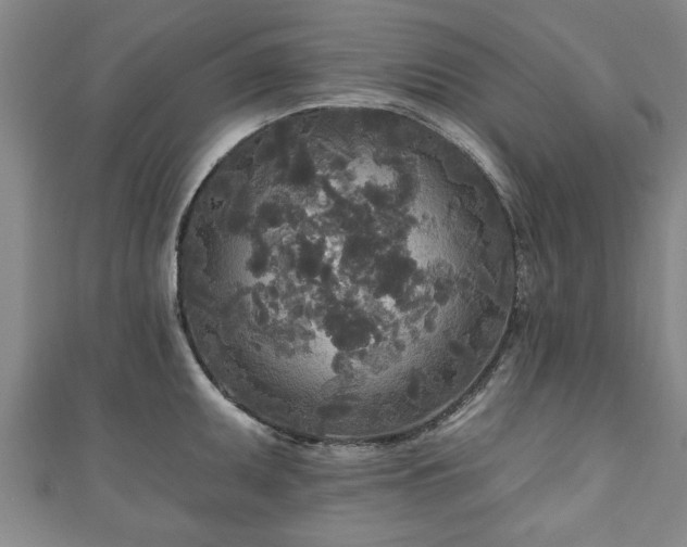 X0000111171095200907081209