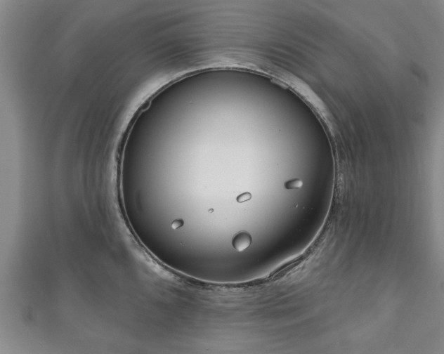 X0000111171096200907081209