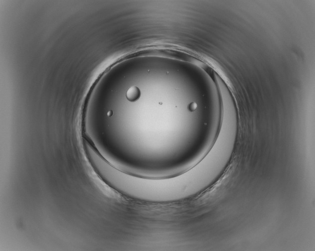 X0000111171098200907081209