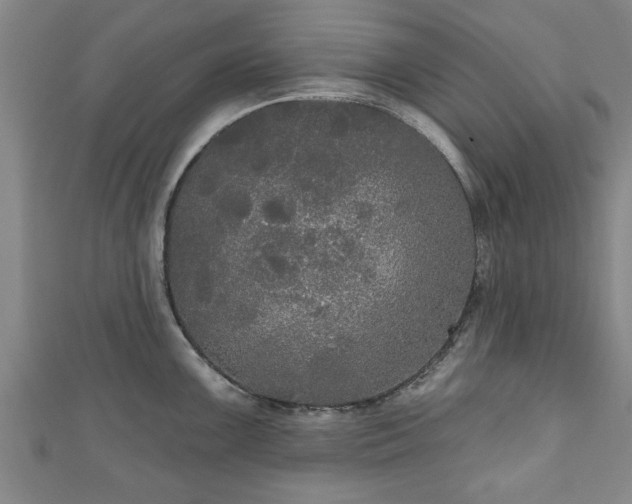 X0000111171099200907081209