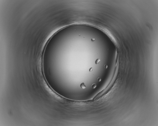 X0000111171100200907081209