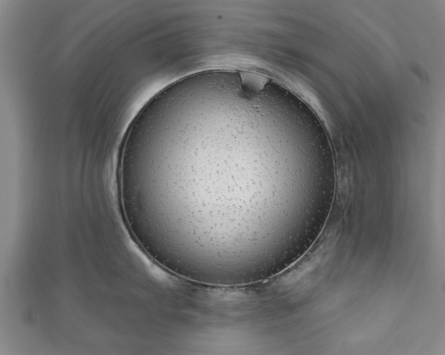 X0000111171103200907081209