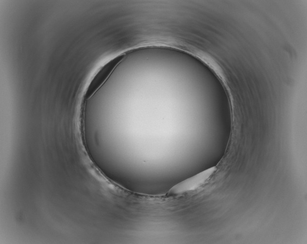 X0000111171104200907081209