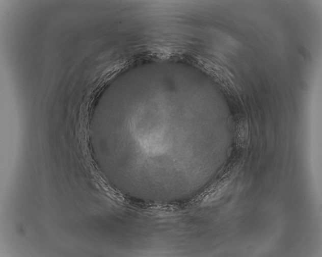 X0000111171105200907081209