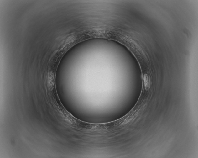 X0000111171107200907081209