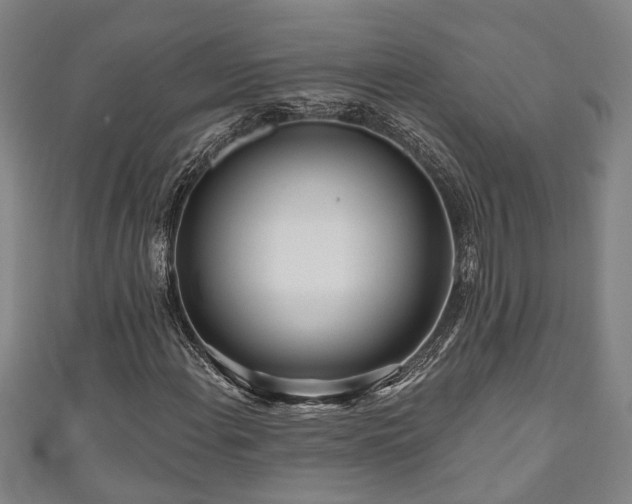 X0000111171108200907081209