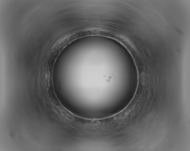 X0000111171111200907081209