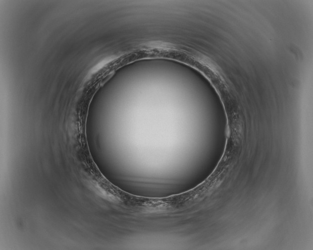 X0000111171112200907081209