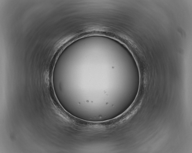 X0000111171113200907081209