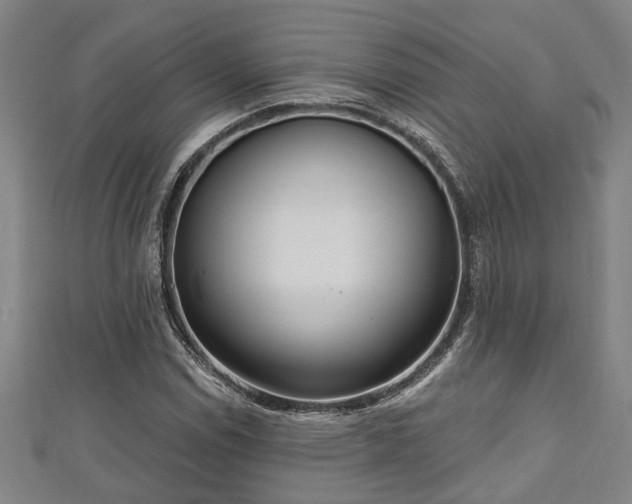 X0000111171114200907081209