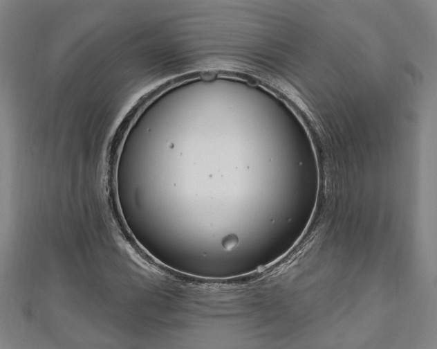 X0000111171116200907081209