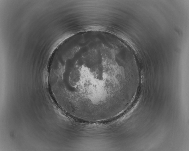 X0000111171117200907081209