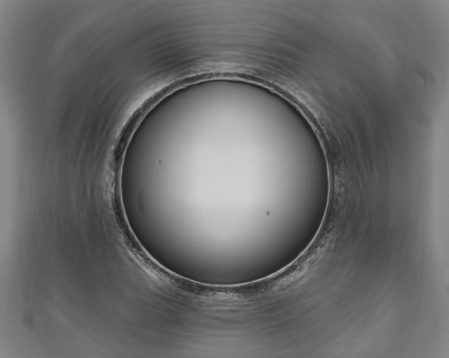 X0000111171119200907081209