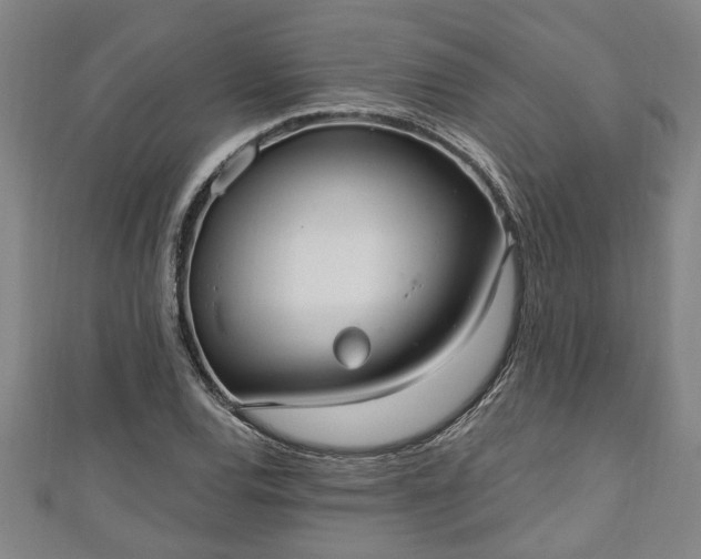 X0000111171120200907081209