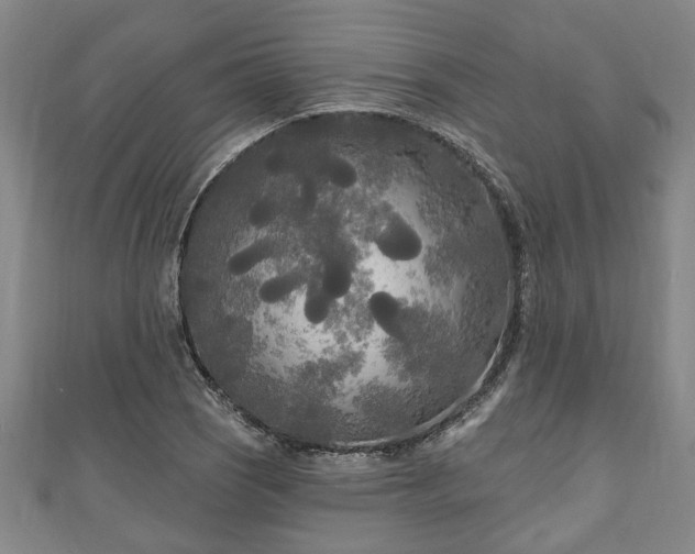 X0000111171121200907081209