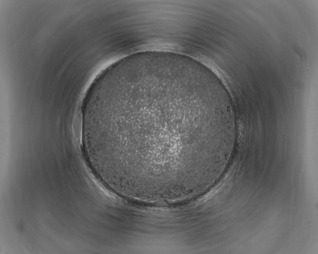 X0000111171123200907081209