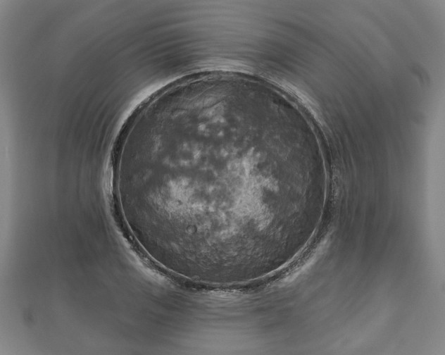 X0000111171125200907081209