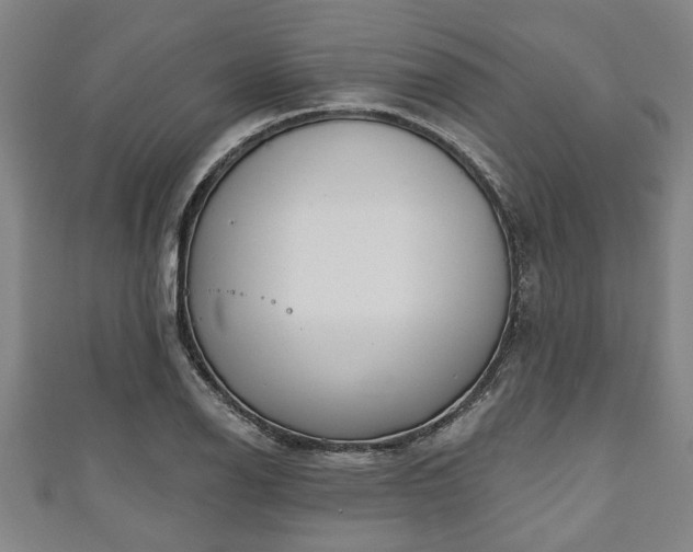 X0000111171126200907081209