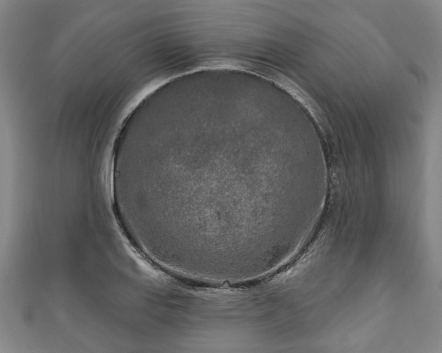 X0000111171127200907081209