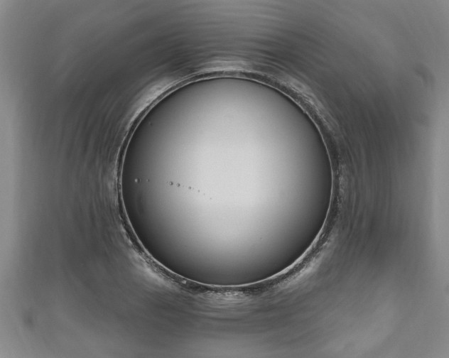 X0000111171129200907081209