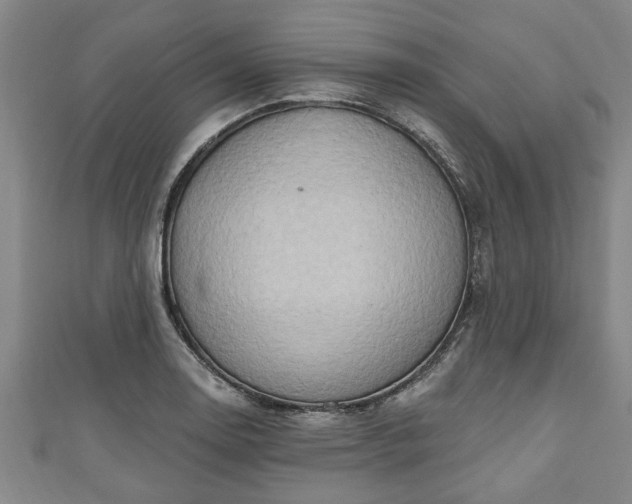 X0000111171130200907081209