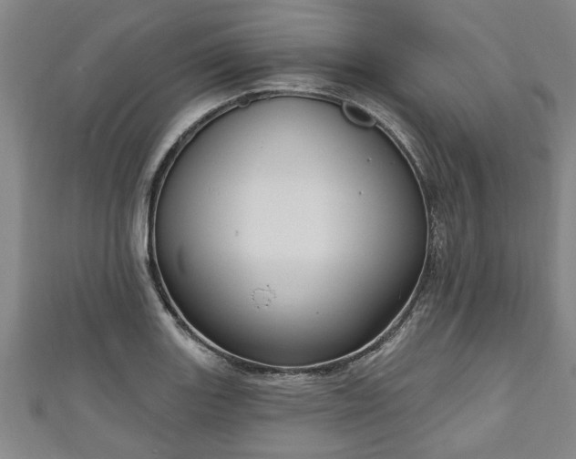 X0000111171131200907081209