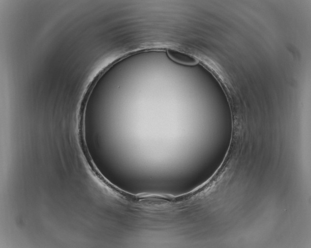 X0000111171135200907081209