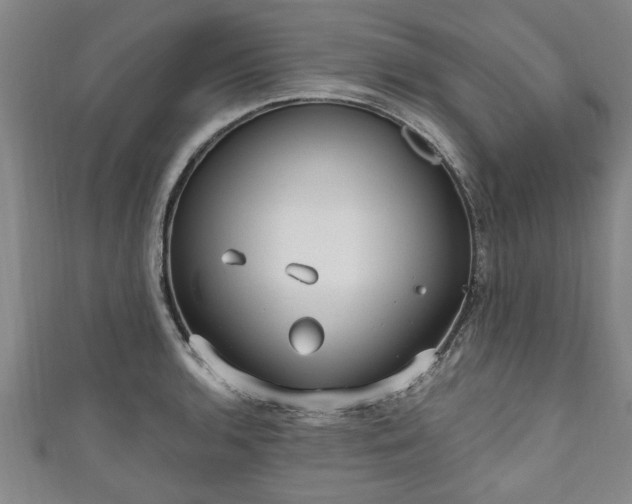 X0000111171136200907081209