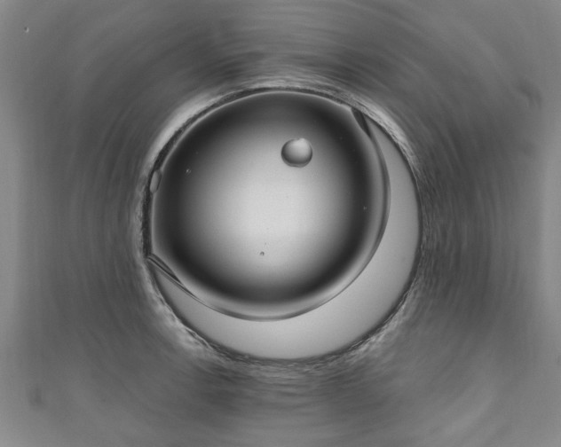 X0000111171138200907081209