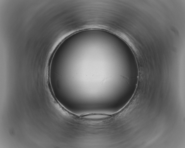 X0000111171140200907081209