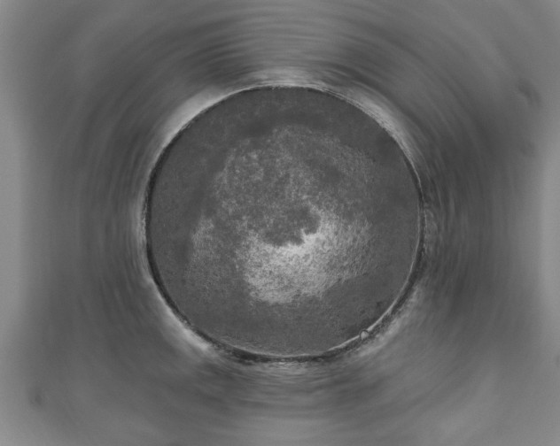 X0000111171141200907081209