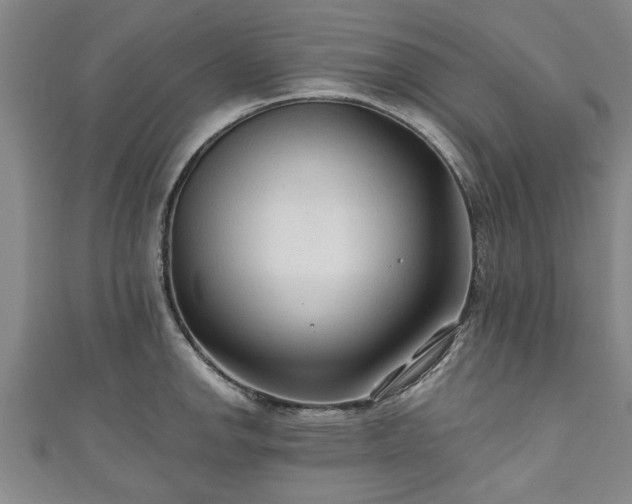 X0000111171142200907081209