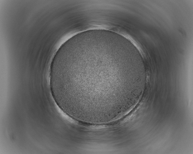 X0000111171143200907081209