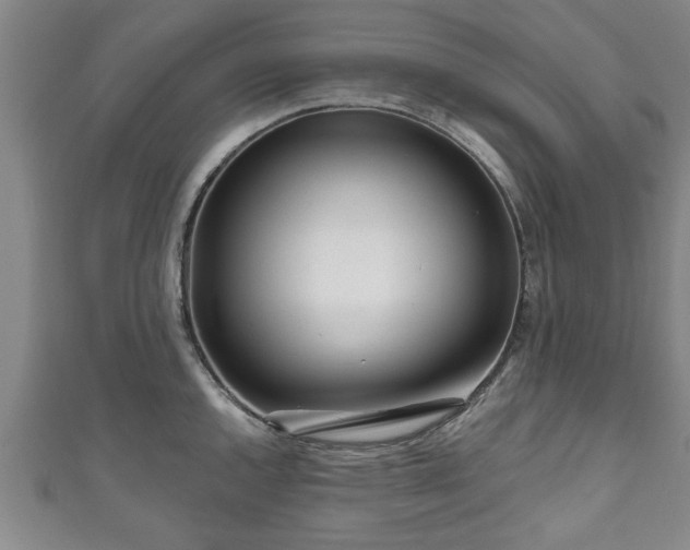 X0000111171144200907081209