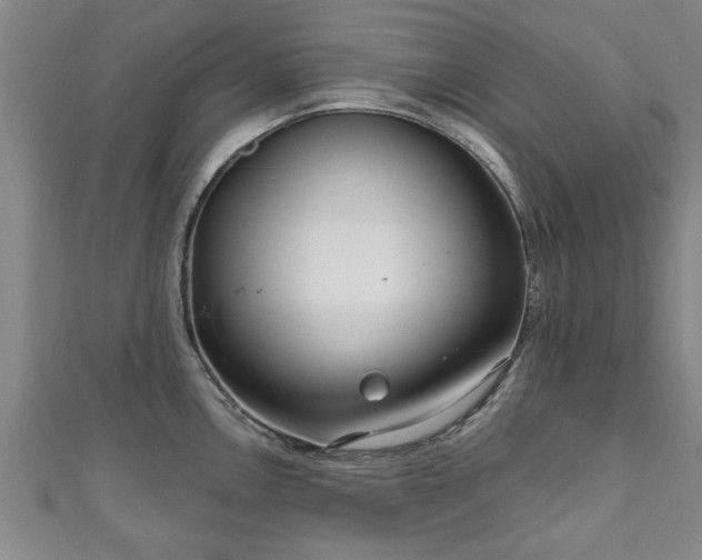 X0000111171146200907081209