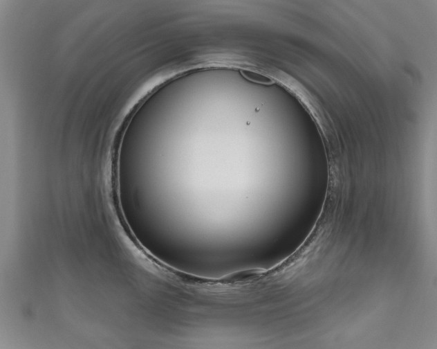 X0000111171147200907081209