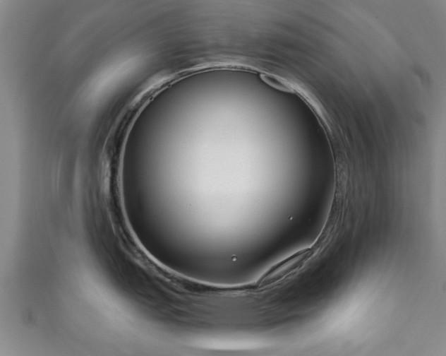 X0000111171151200907081209