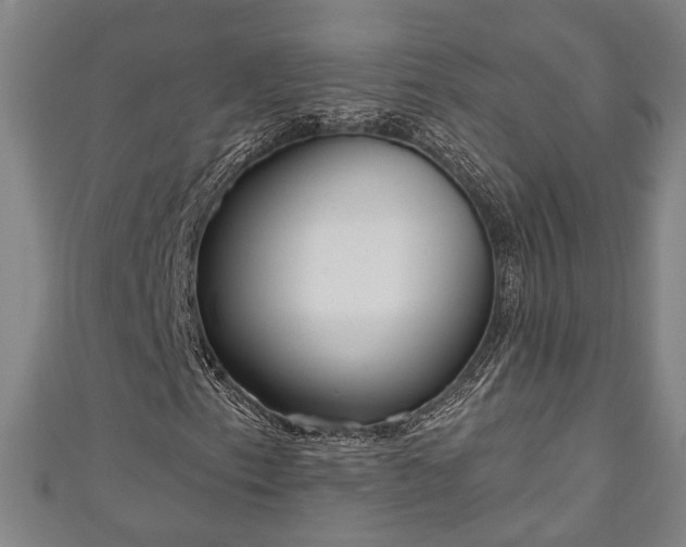 X0000111171153200907081209