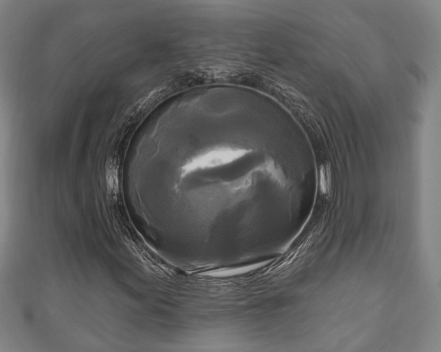 X0000111171155200907081208