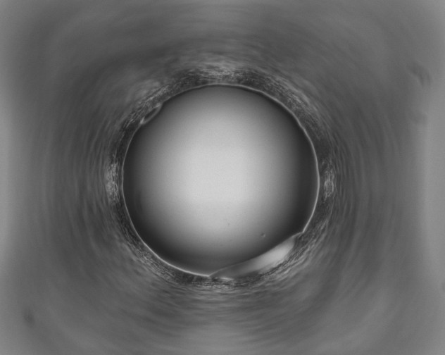 X0000111171156200907081208