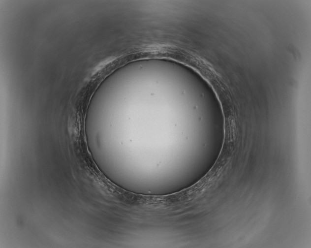 X0000111171158200907081208