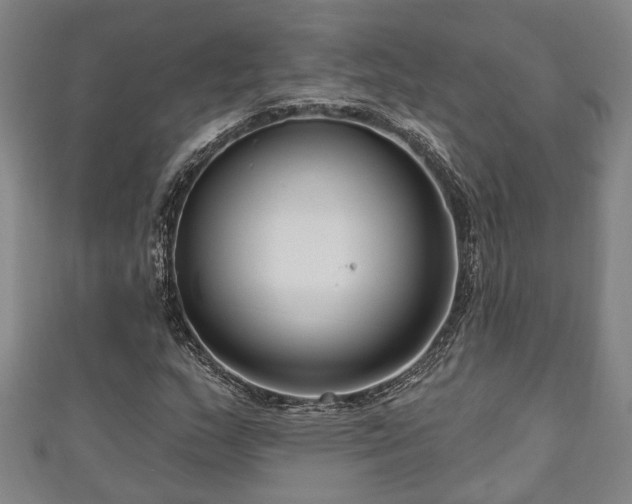 X0000111171159200907081208