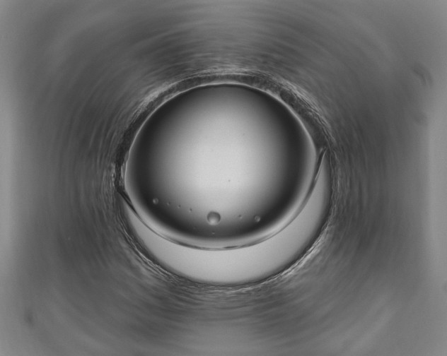 X0000111171161200907081208