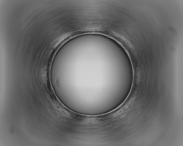 X0000111171162200907081208