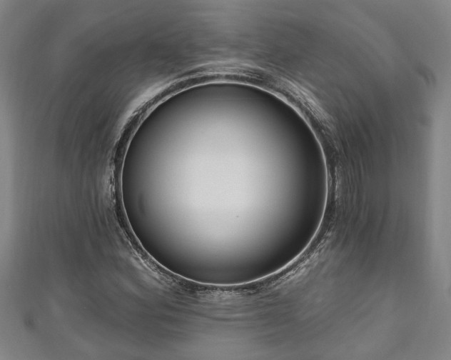 X0000111171164200907081208