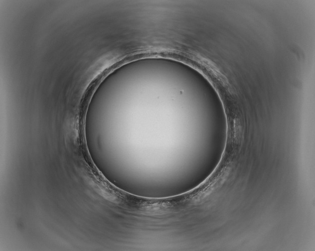 X0000111171165200907081208